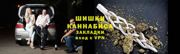 прущие грибы Елизово