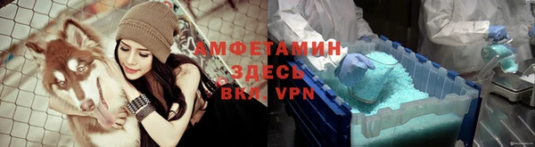 прущие грибы Елизово