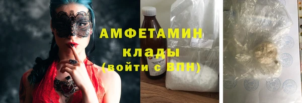 прущие грибы Елизово