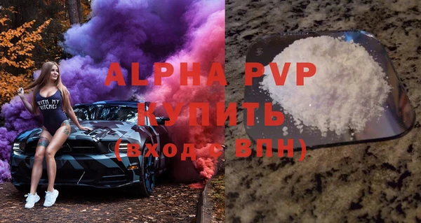 прущие грибы Елизово