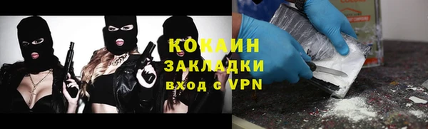 прущие грибы Елизово