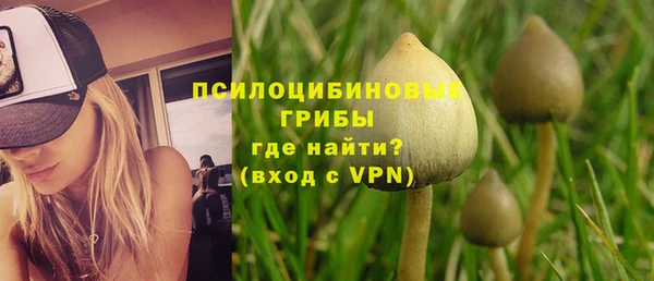 спиды Заволжск