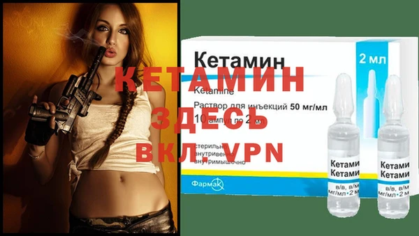 прущие грибы Елизово